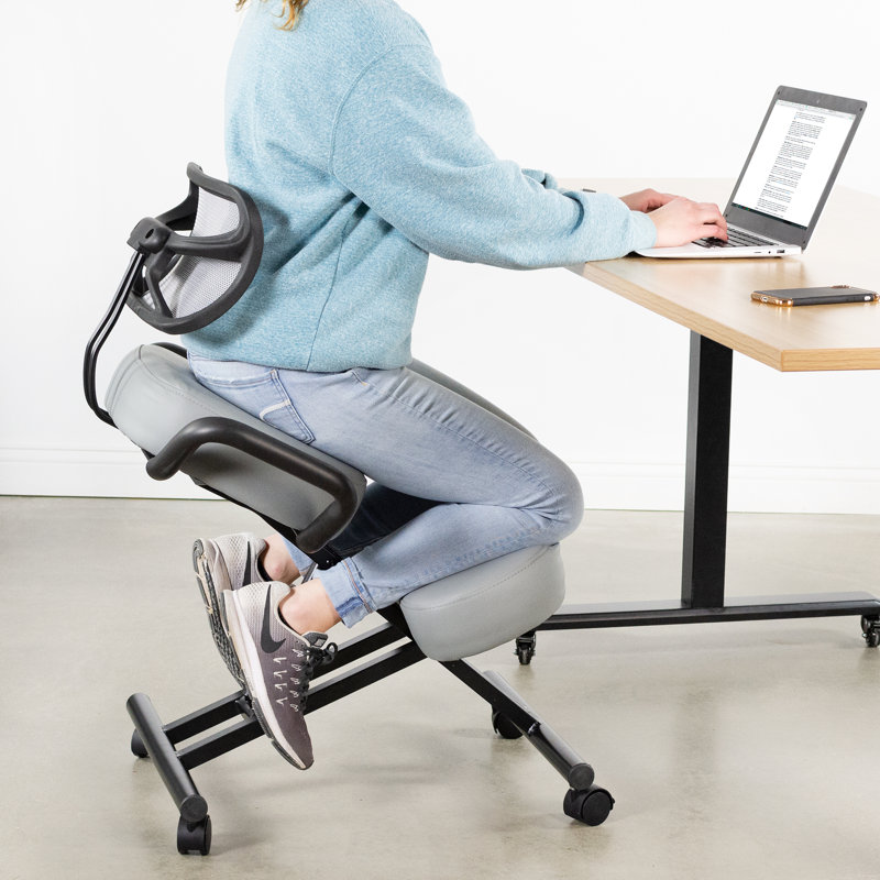Vivo Kneeling Chair with Back Support & Reviews | Wayfair